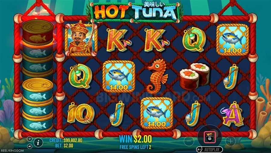 phtala Avoiding Common Betting Mistakes